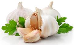 说明: http://jy.hait.edu.cn/__local/3/A1/35/295F553B0389D25670F67FBEFE7_F721B1D6_1506.jpg